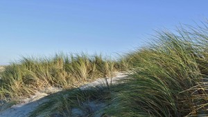 Dunes