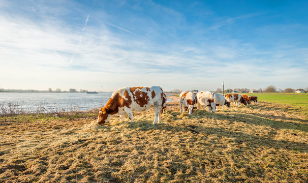 nachtje weg in lente