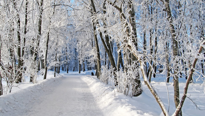 Hartje Winter