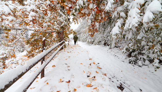 weg_im_Winter