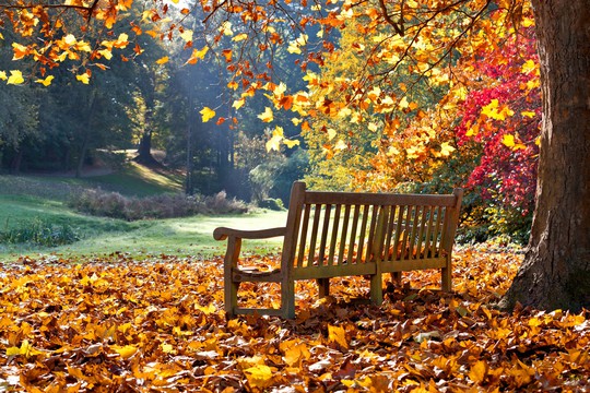 Heerlijke herfst