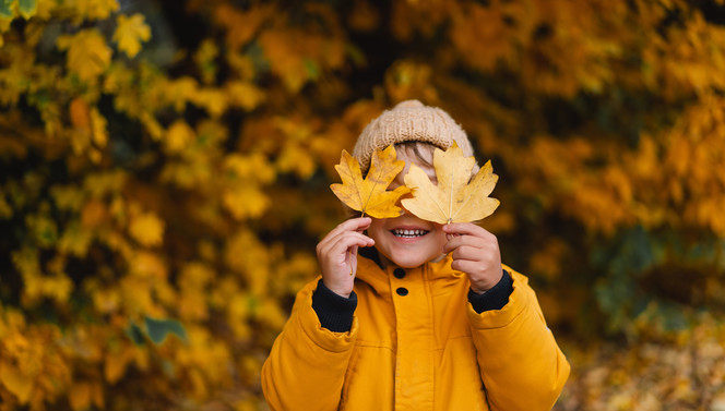 autumn holiday