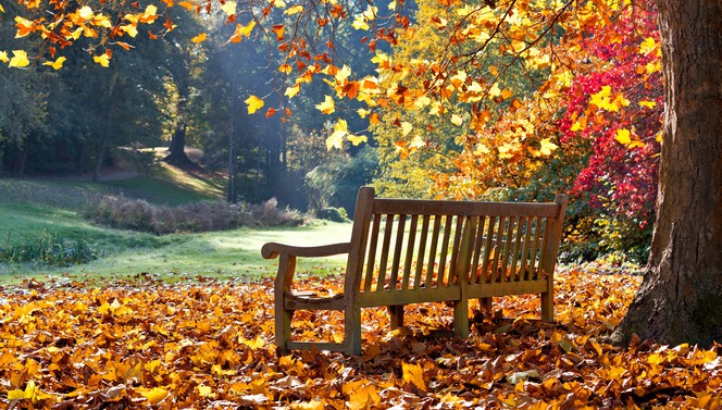 Wundervoller Herbst