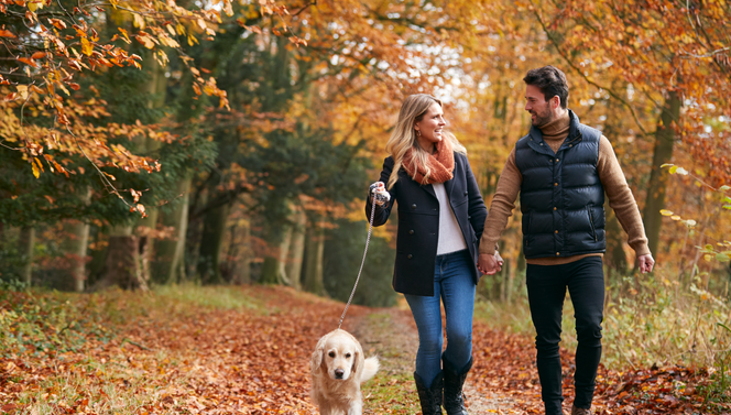 Im Wald spazieren