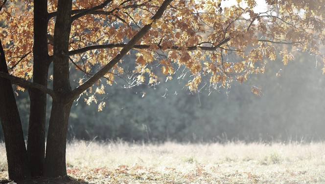 Wundervoller Herbst