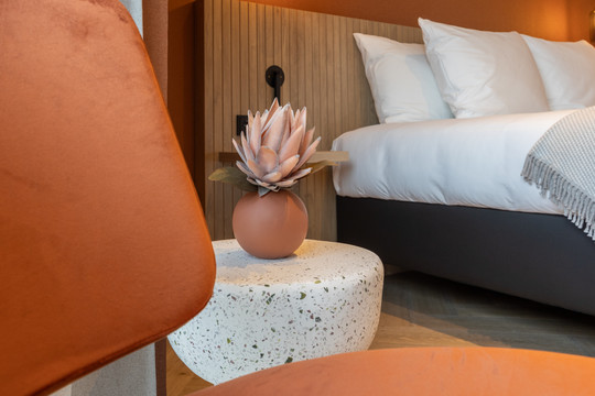 Deluxe kamer 5