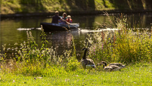 Westerbroekpark
