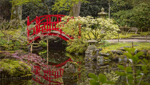 Japanse Tuin