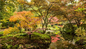 Japanse Tuin