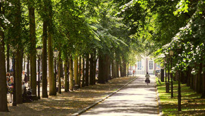 Lange Voorhout