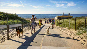 Dogs Scheveningen