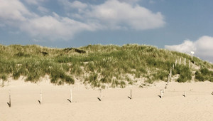 Dunes